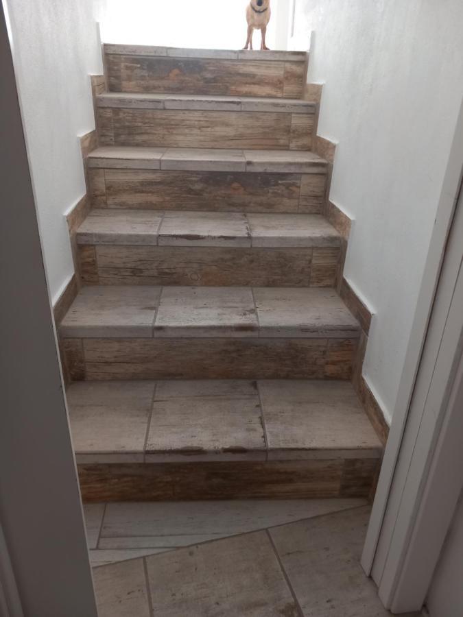 קארבואירו O Quintal Guesthouse מראה חיצוני תמונה